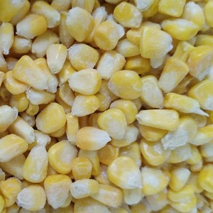 ข้าวโพดหวานแช่แข็งเวียดนาม LQF แบบเก็บรักษาความสดด้วยน้ำ ชนิดสดใหม่ บรรจุแบบขายส่งและแบบสุญญากาศ - Product Image 5