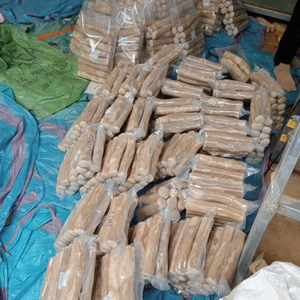 Jouet à mâcher pour chien en bois de café, fabriqué à partir de bois de café de source 100% durable | Accessoire pour animaux de compagnie sûr et écologique - Product Image 2