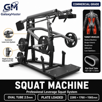 Nueva Máquina de Sentadillas con Carga de Placas/Peso Libre/Equipo de Gimnasio/Fitness Comercial