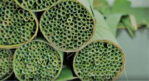 Pailles biodégradables Paille d'herbe écologique Pâtes à boire Pailles biodégradables jetables prêtes à fournir en grande quantité - Product Image 5