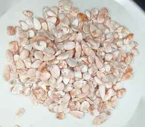 หินอัญมณีหลวม scolecite Cabochon ธรรมชาติหินอัญมณี scolecite Cabochon จำนวนมากที่ไม่ซ้ำกันสำหรับเครื่องประดับ - Product Image 5