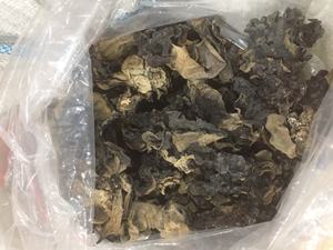 เวียดนามแห้งเห็ดสีดำเชื้อรา/แห้งทั้งรูปร่างสีดำเชื้อรา/ไม้หูเห็ดจากเวียดนามโรงงาน - Product Image 3