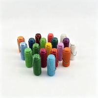 Must-have Popular Choice Silk PLA Finish Spiky Fidget Pain Stim Roller Sensory Keychain for ADHD Anxiety Relief EDC Toy