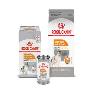 Royal Canin K36 kucing dewasa anak kucing 12 bulan rambut pendek kucing biru makanan kucing nutrisi umum 10kg