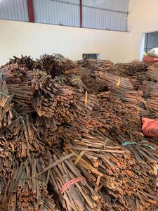 Casia de Vietnam/División de canela de alta calidad lista para exportar al precio más barato - Product Image 6