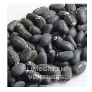Semillas de Jatropha Curcas (Nuez de Barbados), Semillas de Combustible Biológico, Marca Herbal Double Tongues, India, Venta al por Mayor, 12 Meses - Product Image 1