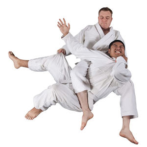 Uniforme de Taekwondo Arts martiaux OEM 100% coton Logo personnalisé Style court pour les uniformes de Taekwondo de karaté et d'entraînement - Product Image 5