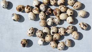 Œufs de caille du Vietnam en saumure |   Longue durée de conservation, sûr et savoureux |   Fournisseur en gros VDELTA - Product Image 3