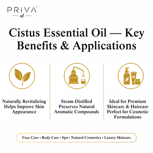 Aceite Esencial de Cistus Orgánico a Granel, Cistus Ladaniferus, Destilado al Vapor, Ecocert, Marruecos, Venta al por Mayor para Cosmética y Perfumería - Product Image 4