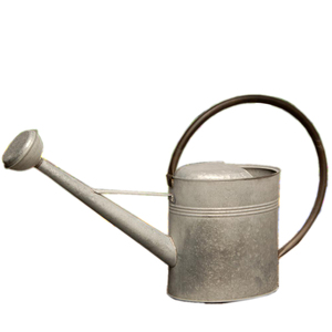 รดน้ําพืชพร้อมช่องทางยาวสีที่กําหนดเองคุณภาพสูงสวนรดน้ําพืชหม้อรดน้ําโลหะสําหรับบ้านสวน - Product Image 4