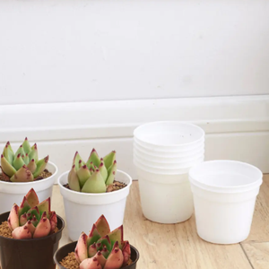 Wholesale Competitive Price Mini <b>Plant</b> <b>Pots</b> Round <b>Plant</b> <b>Pots</b> Customization From in Vietnam Manufacturer - Product Image 1