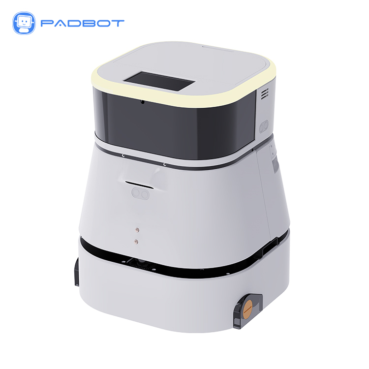 Automatic Commercial Delivery Robot for Restaurant
