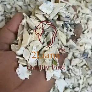 Cubo PPCP para moler leche sin lavar - Product Image 1