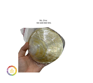 Meilleure vente cuillère en nacre naturelle Premium jetable du Vietnam pour le service de caviar Coffrets cadeaux Premium de présentation de fruits de mer - Product Image 3