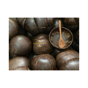 Bol en noix de coco artisanal, bol en coquille de noix de coco naturelle pour servir les aliments - Product Image 5