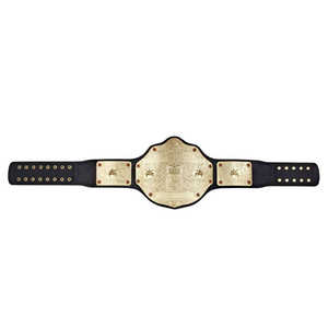 Ceinture de championnat de lutte universelle de taille adulte de haute qualité sur mesure OEM équipement d'arts martiaux lourds - Product Image 5