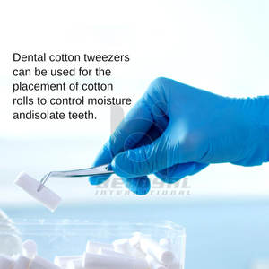 Alicates de algodón Dental profesional Pinzas de acero inoxidable Instrumentos de cirugía oral Alicates de algodón Dental de alta calidad - Product Image 5