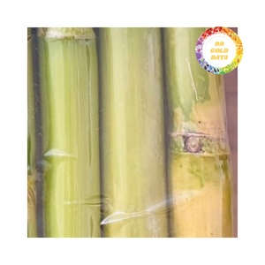 Texture et couleur naturelles de canne à sucre congelée IQF Fresh-Cut Ingrédient polyvalent pour boissons Sirops et garnitures-Emballage en vrac - Product Image 3