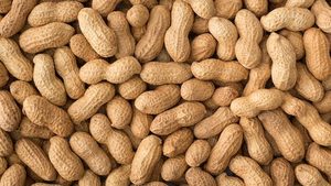 Arachides naturelles brutes séchées, croustillantes, riches en protéines, sans additifs, pour enfants et adultes, à consommer quotidiennement, en vente - Product Image 4