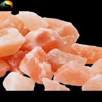 OEM Vente à chaud Sel de table Sel alimentaire noir de l'Himalaya 100% Naturel de haute qualité Premium Rose Noir Blanc Sel comestible sain