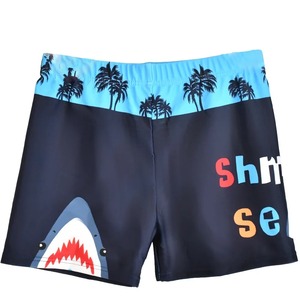<b>Boys</b> Swim Trunks Swim Shorts Quick Drying <b>Swimming</b> Boxer <b>Briefs</b> Cute Cartoon Print Children's Swimwear Kids Swimsuit - Product Image 3