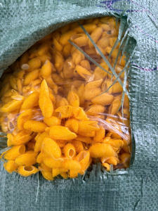 รังไหมสีขาวธรรมชาติสำหรับทอผ้าถักและผลิตภัณฑ์งานฝีมือที่ผลิตในเวียดนาม - Product Image 4