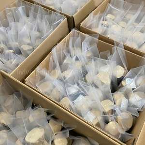 Jouet à mâcher en bois de gorille écologique, favorise la santé dentaire, pour des dents saines et des chiens heureux, friandises à mâcher sûres pour le nettoyage dentaire des chiots en pleine dentition - Product Image 6