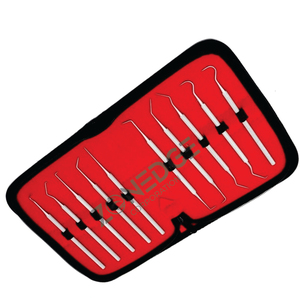 Top Quality Set of Dental Kit Oral Care Tools in Carrying Case Stainless Steel <b>Picks</b> for Tartar, Calculus, CE Dental Equipments - Product Image 5