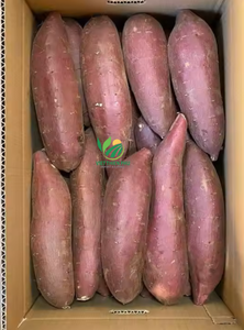 Vente en gros de patates douces congelées-en vrac pour l'industrie alimentaire fraîches, sucrées, saines-Fabriqué par VIET THIEN PHU du Viet Nam - Product Image 4