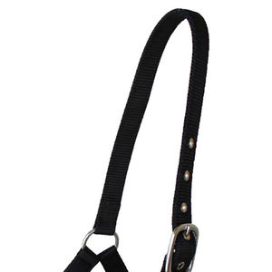 Cabestro de Cuerda de Calidad Profesional Más Vendido para Caballos con Hebillas y Opción de Logotipo Personalizado para una Comodidad Óptima al Montar - Product Image 5