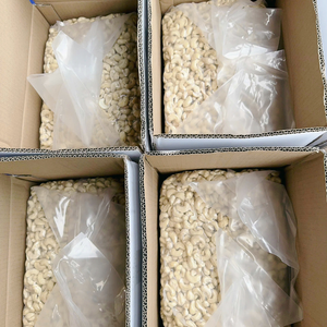 Cheap Bulk Cashew W180 W240 W320 <b>Nuts</b> <b>Kernels</b> SANTIGO Exported To Middle East Cashew <b>Nuts</b> Wholesale - Product Image 1