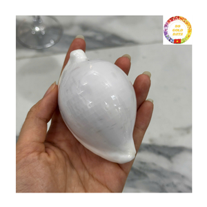 Conchas de cauri de huevo blanco de gran tamaño al por mayor, conchas marinas pulidas de Vietnam para fabricación de joyas DIY y decoración del hogar - Product Image 6
