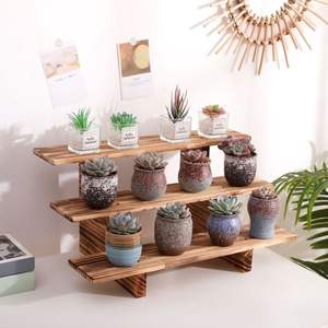 Factory Direct Sale Durable Handmade Modern Rectangle Buffalo Bone Photo <b>Frame</b> <b>Plant</b> Holder - Product Image 4