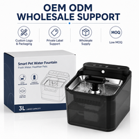 Fontaine à eau intelligente pour animaux de compagnie OEM ODM 3L avec capteur de mouvement, sans fil, rechargeable, en acier inoxydable, distributeur d'eau automatique pour chats, vente en gros