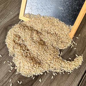 Vente en Gros Riz Brun Long Grain Jasmin du Vietnam Riz Séché Aromatique au Meilleur Prix 500gr & 5kg Sacs Sous Vide Disponibles/ANNA - Product Image 2