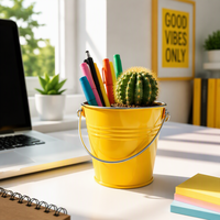 Mini seau décoratif en métal avec poignée - Organisateur de bureau et pot de fleurs vibrant pour la maison et le bureau
