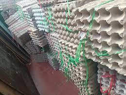 ถาดใส่ไข่เป็ดไก่กระดาษขนาดใหญ่แบรนด์100% สำหรับเวียดนามการเกษตรจิ้งหรีดหนอนมังกร - Product Image 6