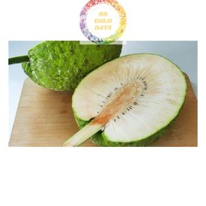 EXPORTADOR DE VIETNAM DE FRUTA DE PAN CONGELADA PREMIUM 100% FRUTA DE SAKE IQF NATURAL PARA LA INDUSTRIA ALIMENTARIA - Product Image 4