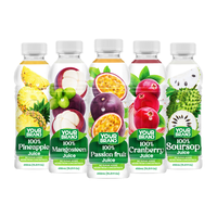 450ml fles natuurlijk fruitsap OEM ODM Private Label drankenfabrikant Vietnam