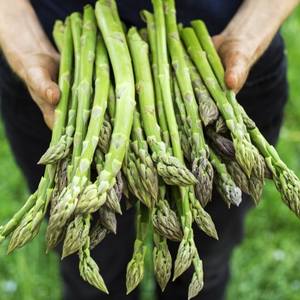 LIMPIA COSECHA ESPÁRRAGOS/DEFENSA INMUNE/ENERGÍA VEGANA - Product Image 3