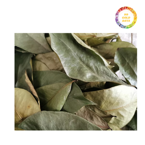 ใบกริโอลาถูกเก็บเกี่ยวและตากแห้งในเวียดนามเพื่อใช้ในการผลิตถุงชาการขายส่วนผสม B2B และอื่นๆ - Product Image 1