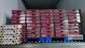 แบรนด์ที่ปรับแต่งได้ ผลไม้เสาวรสสด ออร์แกนิค 100% จากธรรมชาติ ขายดีจากเวียดนาม ได้รับการรับรองมาตรฐาน EU พร้อมจัดส่ง - Product Image 4