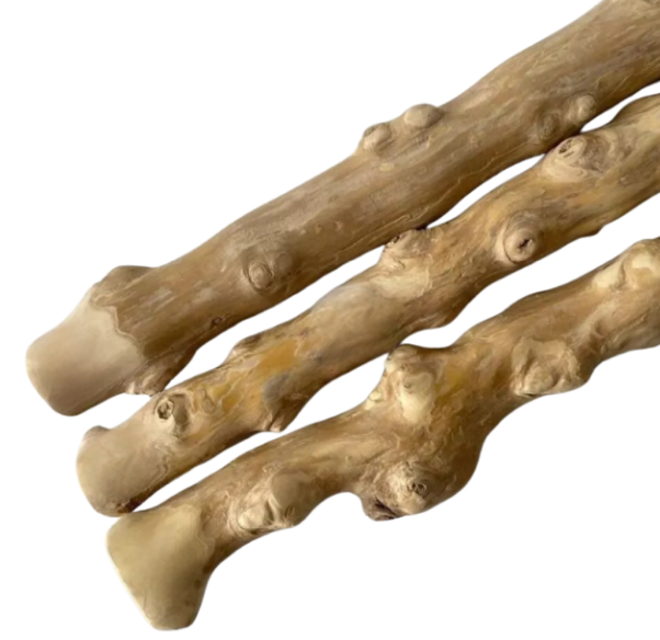 cocktail parrot jhola