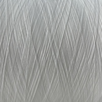 Fil de polyester DTY personnalisé OEM & ODM, 100 % polyester, 75D/36F, 120TPM/S, torsadé, blanc brut