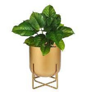 Pot de fleurs en fer au design luxueux pour la décoration de la maison, pot de fleurs personnalisé pour le jardin, la maison, le bureau, les centres commerciaux - Product Image 2