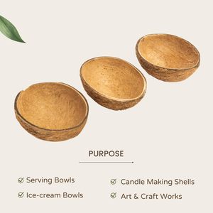 Bols ovales en coquille de noix de coco brute |   Bol à manger artisanal naturel |   Vaisselle durable en gros - Product Image 3