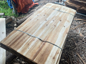 Fournisseur de placage de noyau d'acacia du Vietnam meilleur prix pour les usines indiennes de contreplaqué HCPLY LUCYPLYWOOD fournisseur du Vietnam - Product Image 4
