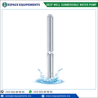 Fabricant leader de pompes à eau submersibles pour puits profonds de 4 pouces pour l'irrigation légère et l'approvisionnement en eau résidentielle