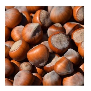 Nueces de Avellana Blanqueadas de Calidad y Sabor Natural a Bajo Precio - Product Image 1