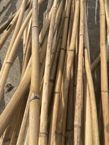Poteaux de bambou en rotin Matériaux directement de l'agriculteur Pour les meubles en matériaux de rotin Prix bon marché Poteau de rotin droit/canne/piquets - Product Image 3